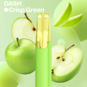 Snowplus DASH 4000Puffs 獨家持味黑科技 全程不掉味7.5ml 大容量持久不乾燒 3% 頂級丁鹽順滑入喉